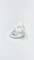 PLSTC RING